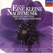 P. Maag - Mozart: eine KleineNachtmusik /  Serenata notturna Musikalischer Spass