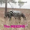LP - Mekons 77 - IT Is Twice Blessed