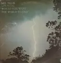 LP - Mel Tillis And The Statesiders - Would You Want The World To End