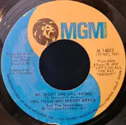 Mel Tillis , Sherry Bryce - Mr. Right and Mrs. Wrong