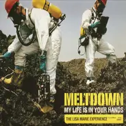 Meltdown - My Life Is In Your Hands