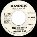 7inch Vinyl Single - Melting Pot - Tell The Truth
