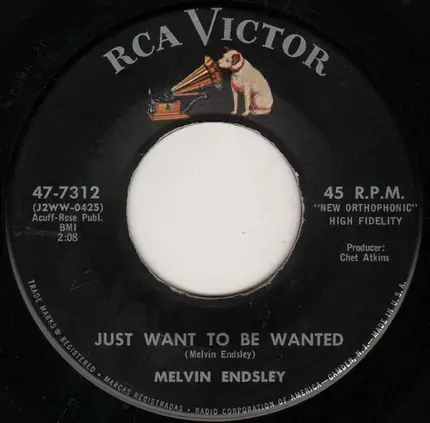 Melvin Endsley - Just Want To Be Wanted / Gettin' Used To The Blues