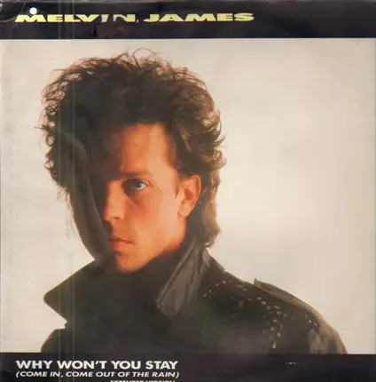 Melvin James - Why Won't You Stay (Come In, Come Out Of The Rain)