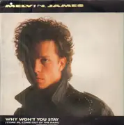 12inch Vinyl Single - Melvin James - Why Won't You Stay (Come In, Come Out Of The Rain)