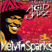 Melvin Sparks - Melvin Sparks
