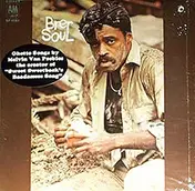 melvin van peebles - Brer Soul