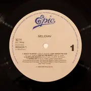 LP - Melidian - Lost In The Wild