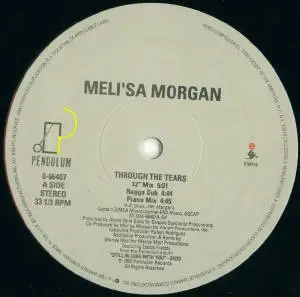 Meli'sa Morgan - Through The Tears