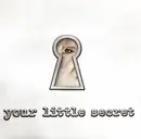 CD - Melissa Etheridge - Your Little Secret