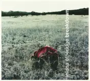 Melissa Etheridge - Breakdown