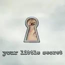CD - Melissa Etheridge - YOUR LITTLE SECRET