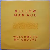 Mellow Man Ace - Welcome To My Groove