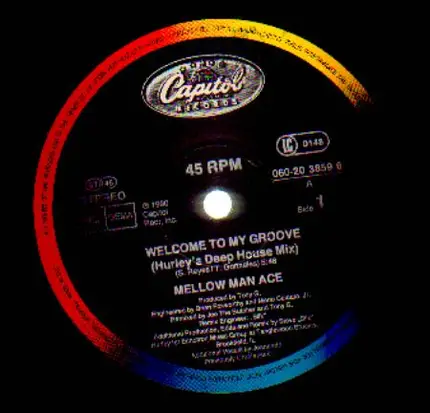 Mellow Man Ace - Welcome To My Groove