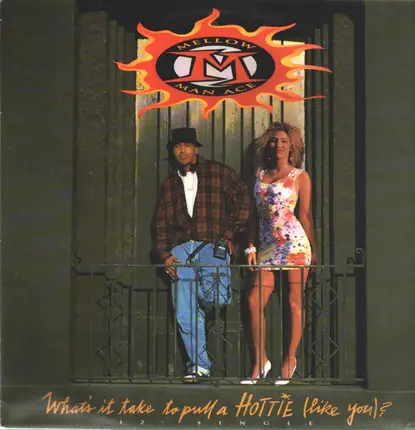 Mellow Man Ace - What's it Take to pull a HOTTIE (Like You)?