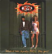 12inch Vinyl Single - Mellow Man Ace - What's it Take to pull a HOTTIE (Like You)?