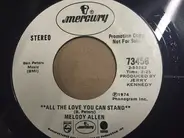 Melody Allen - All The Love You Can Stand