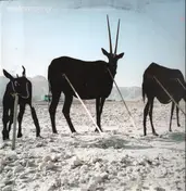 Melon - Four Seasons Part 01