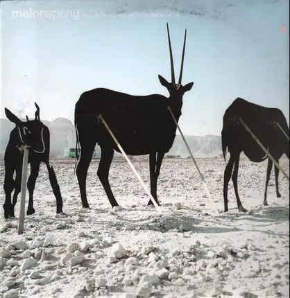 Melon - Four Seasons Part 01