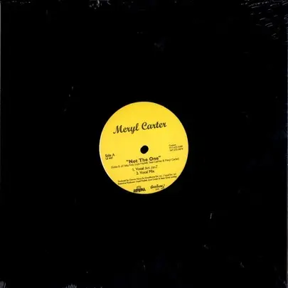 Meryl Carter - Not The One