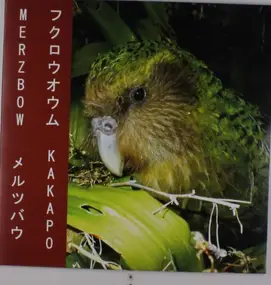 Merzbow - Kakapo