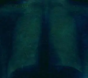 Mercan Dede - Breath