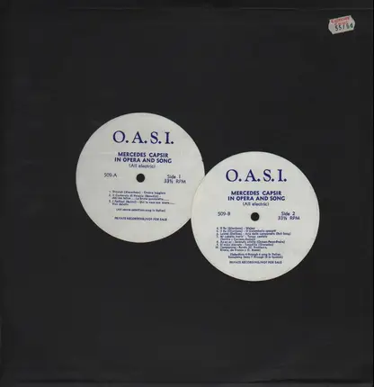 Mercedes Capsir - In opera and song