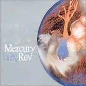 Mercury Rev - The Dark Is Rising