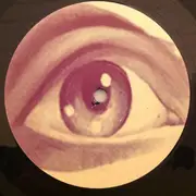 LP - Mercury Rev - The Secret Migration