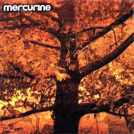 Mercurine - Waiting for Another Fall