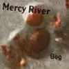 CD - Mercy River - Bog