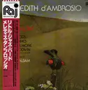 LP - Meredith d'Ambrosio - Little Jazz Bird - +Obi, Insert
