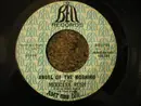7inch Vinyl Single - Merrilee & The Turnabouts - Angel Of The Morning / Reap What You Sow