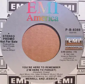 Merrill Osmond - You're Here To Remember (I'm Here To Forget)