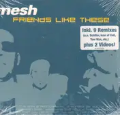 Mesh - Friends Like These
