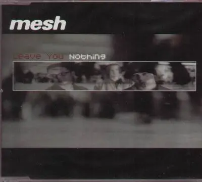 Mesh - Leave You Nothing