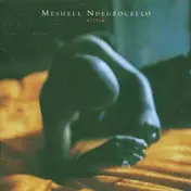 Me'Shell NdegéOcello - BITTER