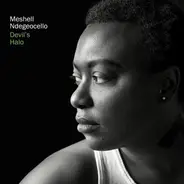Me'Shell NdegéOcello - Devil's Halo
