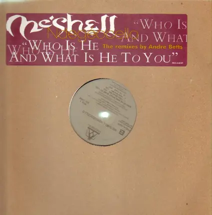 Me'Shell NdegéOcello - Who Is He And What Is He To You