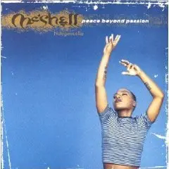 Me'Shell NdegéOcello - Peace Beyond Passion