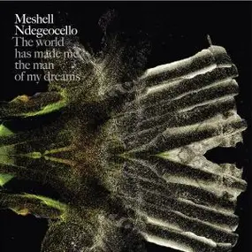 Me'Shell NdegéOcello - The World Has Made Me The Man Of My Dreams