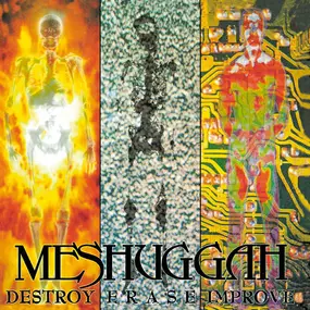 Meshuggah - Destroy Erase Improve