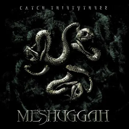 Meshuggah - Catch Thirtythree