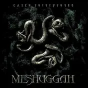 Meshuggah - Catch Thirtythree