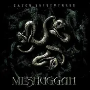 Meshuggah - Catch Thirtythree