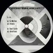 Metalogic - Torus