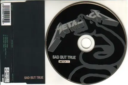 Metallica - Sad But True