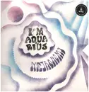 12inch Vinyl Single - Metronomy - I'm Aquarius - Incl. Download Card