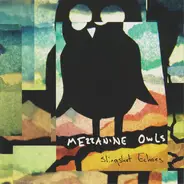 Mezzanine Owls - Slingshot Echoes