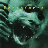 Mezzoforte - Monkey Fields